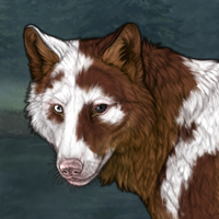 Piebald - test Headshot