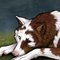 Piebald - test Headshot