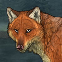 Male Fox (Herb) Headshot