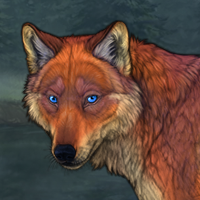 Vulpecula Headshot