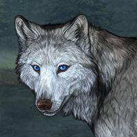 Wolf Headshot