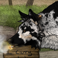 Wolf Headshot