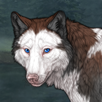 Piebald Headshot