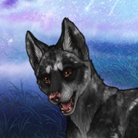 Tristan Headshot