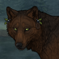 Traveller Cherrywood Headshot