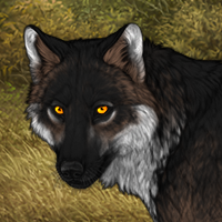 Wolf Headshot