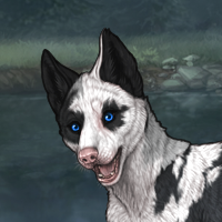 Piebald: Torn Headshot