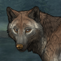 Imegyuk Headshot