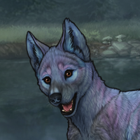 ((Pup))Marengo; 5M Headshot