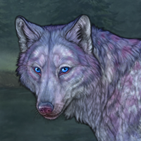 Glacier Winterwolf Headshot