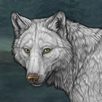 Wolfie Headshot