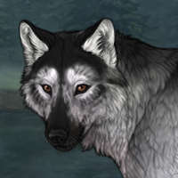 BlackPelt Headshot