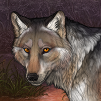 Spirit 4 ( Coyote Maw) Headshot