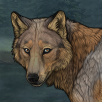 Gen6 Iron Male Headshot
