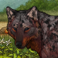 BarkSpawn Headshot
