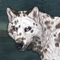 606 f dalmatian Headshot