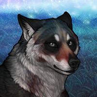 Animus Headshot