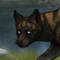 BEAR SIDHE??? Headshot