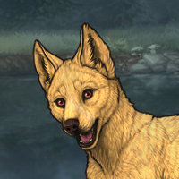 Goldenpup(free) Headshot