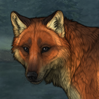 Weaselstep Headshot