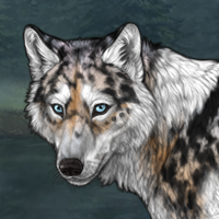 Koba Headshot