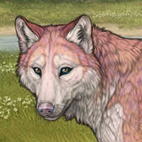 Yarrow Headshot