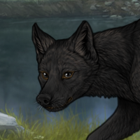 Ridiculously Black Wolf Headshot
