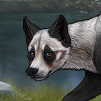 Badger Headshot