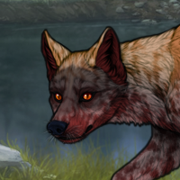 ○F Dravite MerWinOpo stal Headshot