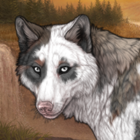 Selkie Headshot