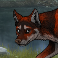 red fire wolf Headshot