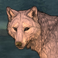 arkose female 4m Headshot