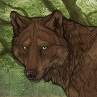 Wolf Headshot