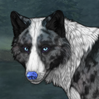 Tundra Headshot