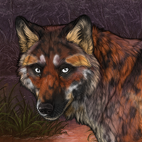 Eolaíocht Headshot