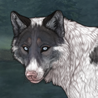 Blueschist Headshot