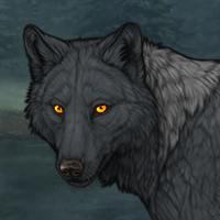 Wolf Headshot