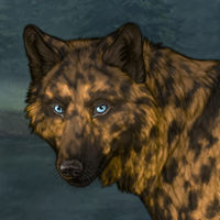 Yellow breeder Headshot