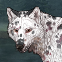 G4 Dalmatian Silver II F Headshot