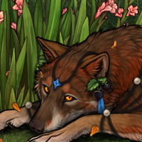 Wolf Headshot