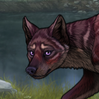 Harmonia Pup 1 Headshot