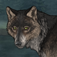 Wolf Headshot