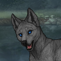 ((Pup))Star Ward Headshot