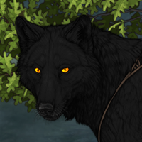 Wolf Headshot