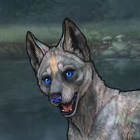 Enclave Pup Headshot