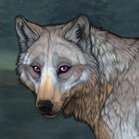 Tundra-Coat Headshot