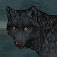 Wolf Headshot