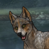 Vanyssi Pup Headshot