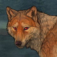 Wulfe (stalker) Headshot