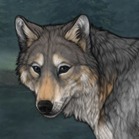 North Headshot